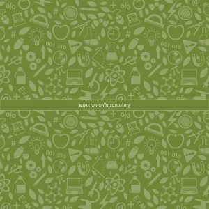 Educatie de Senzatie - Jurnal Fotografic-18