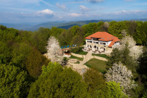 Cetatuia-Imprejurimi-1