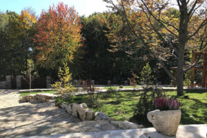 Cetatuia-Imprejurimi-6